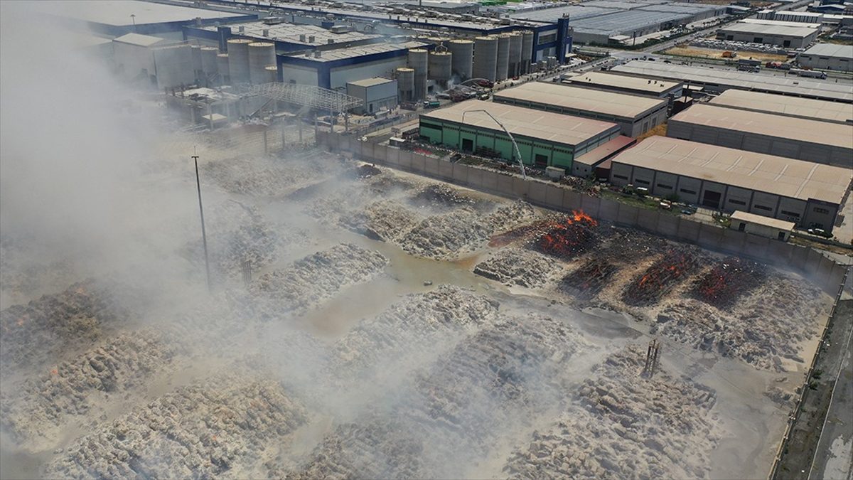 Aydın'ın Söke ilçesindeki kağıt fabrikasında 12 Temmuz'da başlayan yangın kısmen