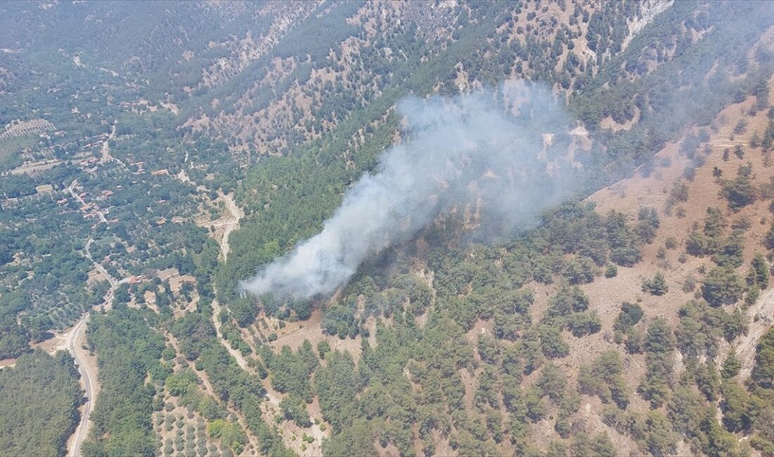 Aydın'ın Kuyucak ilçesinde tarım arazisinde çıkan ve ormanlık alana sıçrayan