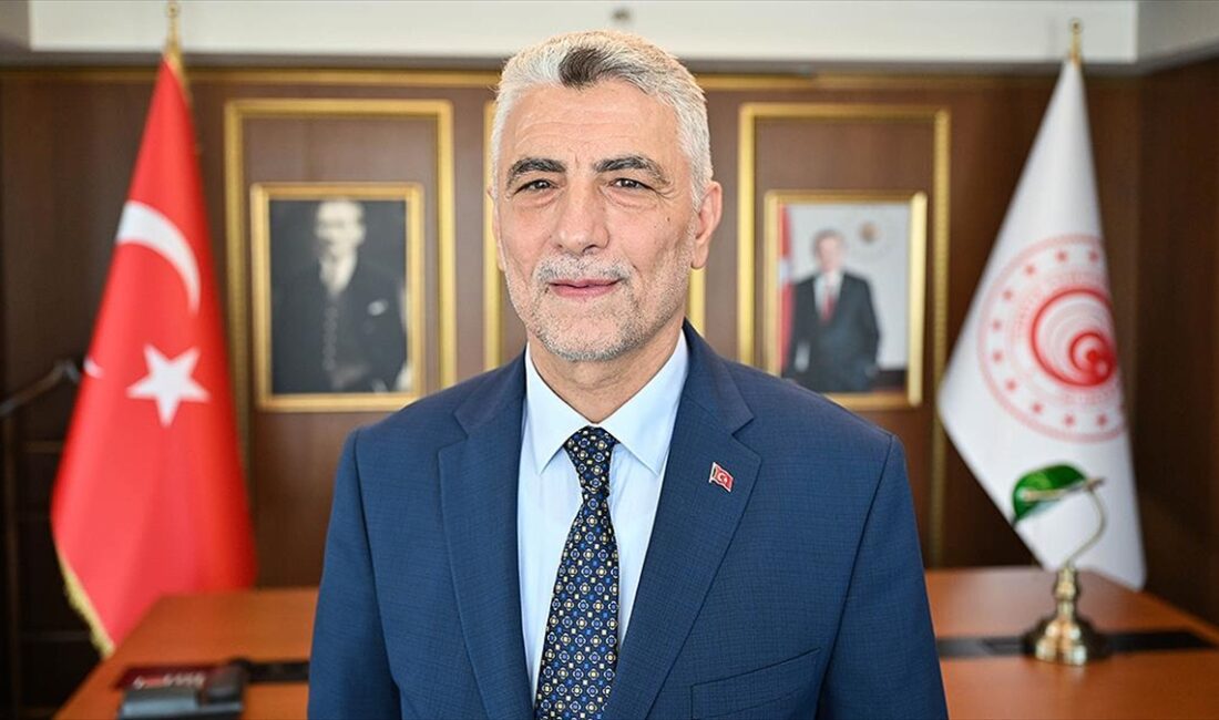 Ticaret Bakanı Bolat, Çinli BYD'nin Türkiye'ye yatırım kararına ilişkin, "Bu