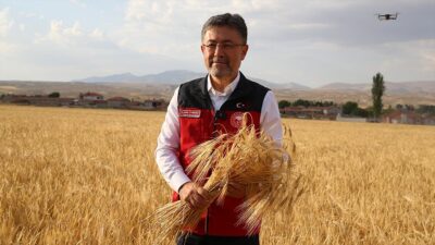 Tarım ve Orman Bakanı Yumaklı, "TMO, bu yıl da üreticileri