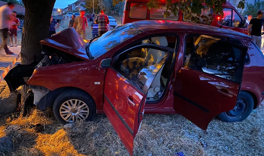 Balıkesir'in Bigadiç ilçesinde ağaca çarpan otomobildeki 2 kişi öldü, 6