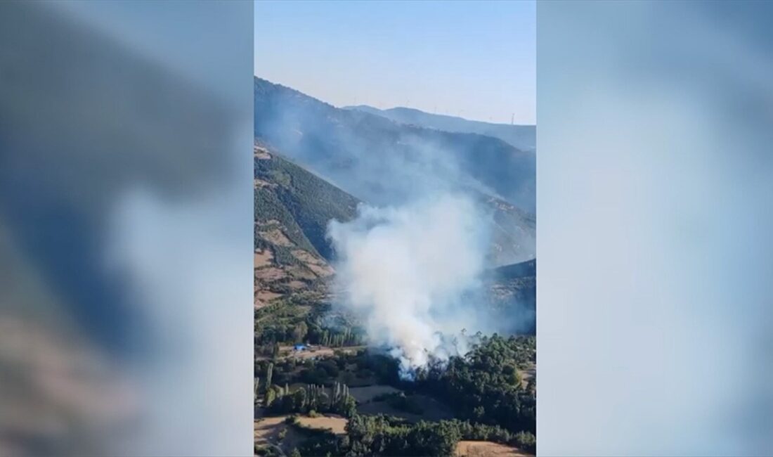 Balıkesir'in Altıeylül ilçesinde çıkan orman yangınına havadan ve karadan müdahale