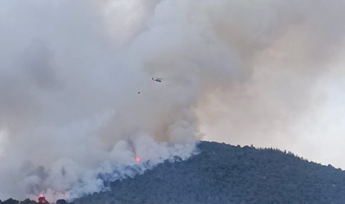 Balıkesir'in Kepsut ilçesinde arazide çıkan ve ormana sıçrayan yangınının kontrol