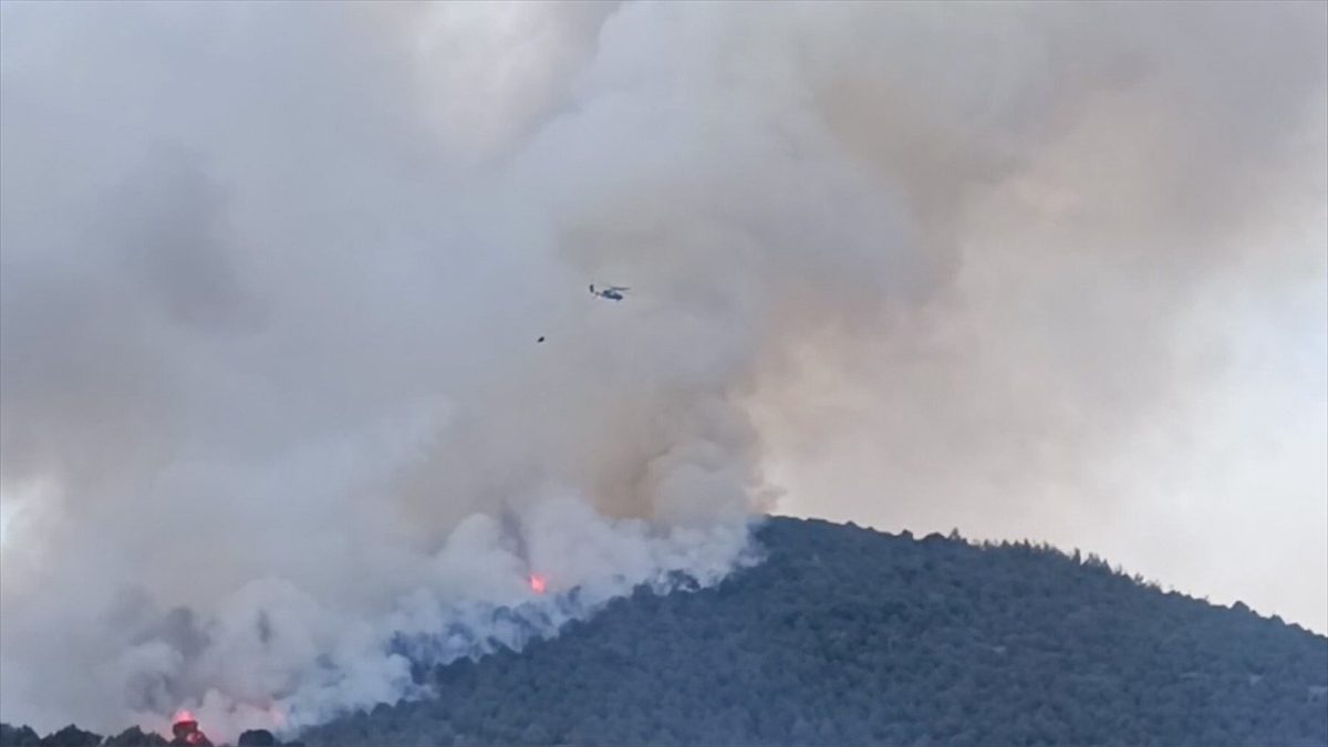 Balıkesir'in Kepsut ilçesinde arazide çıkan ve ormana sıçrayan yangınının kontrol