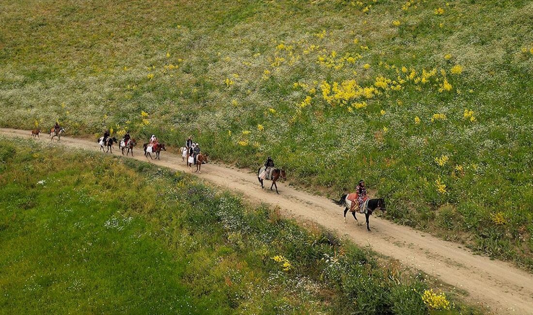 Van'ın Gürpınar ilçesindeki kırsal mahallede yaşayan kadınlar, yaylalarda otlatılan koyunların