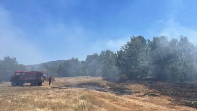 Bilecik'te Arapdede ile Sarıdayı köyleri arasındaki alanda henüz bilinmeyen nedenle