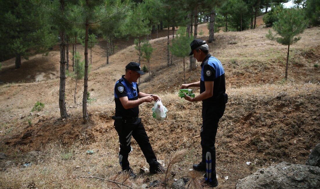 BINGÖL (AA) – Orman İşletme Müdürlüğünden alınan bilgiye göre, orman