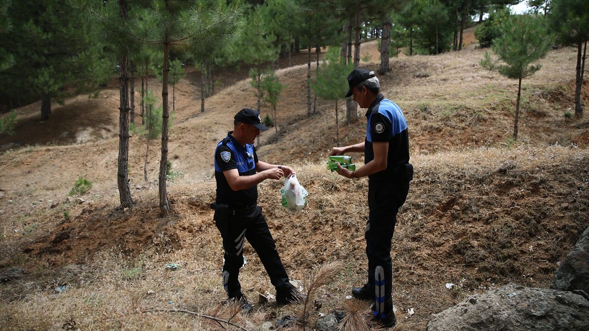 BINGÖL (AA) – Orman İşletme Müdürlüğünden alınan bilgiye göre, orman
