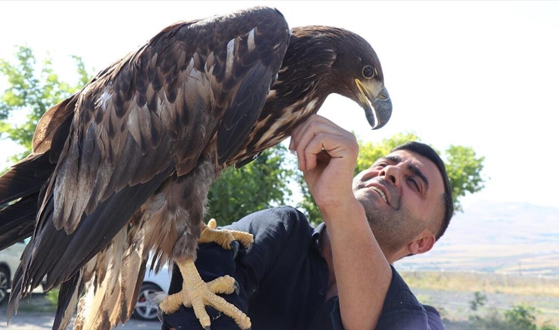 Elazığ'ın Palu ilçesinde kafe işleten Murat Yılmaz, "Doğada geziyor, dolaşıyor,