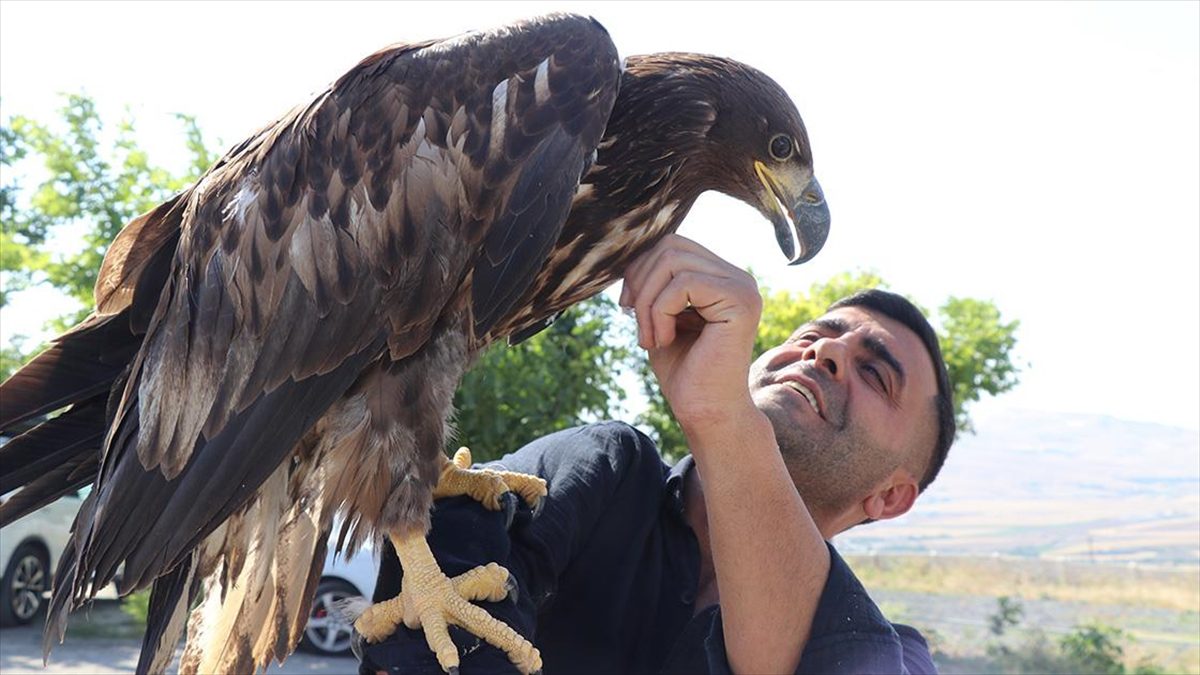 Elazığ'ın Palu ilçesinde kafe işleten Murat Yılmaz, "Doğada geziyor, dolaşıyor,