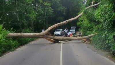 Birleşmiş Milletler İnsani Yardım Koordinasyon Ofisi (OCHA) Sözcüsü Vanessa Huguenin,