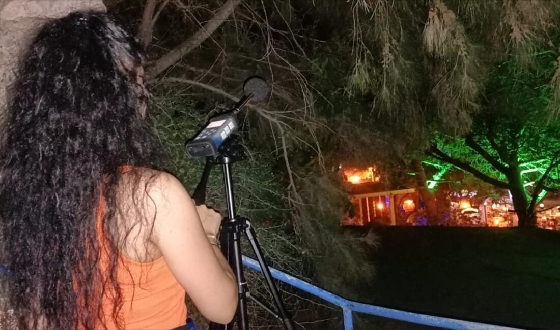 Muğla'nın Bodrum ilçesinde zabıta ekiplerince ilçe genelindeki bin 204 işletmede