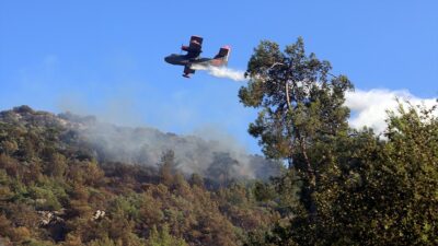 MUĞLA (AA) – Pınarlıbelen Mahallesi Etrim ve Kaklık mevkisindeki ormanlık