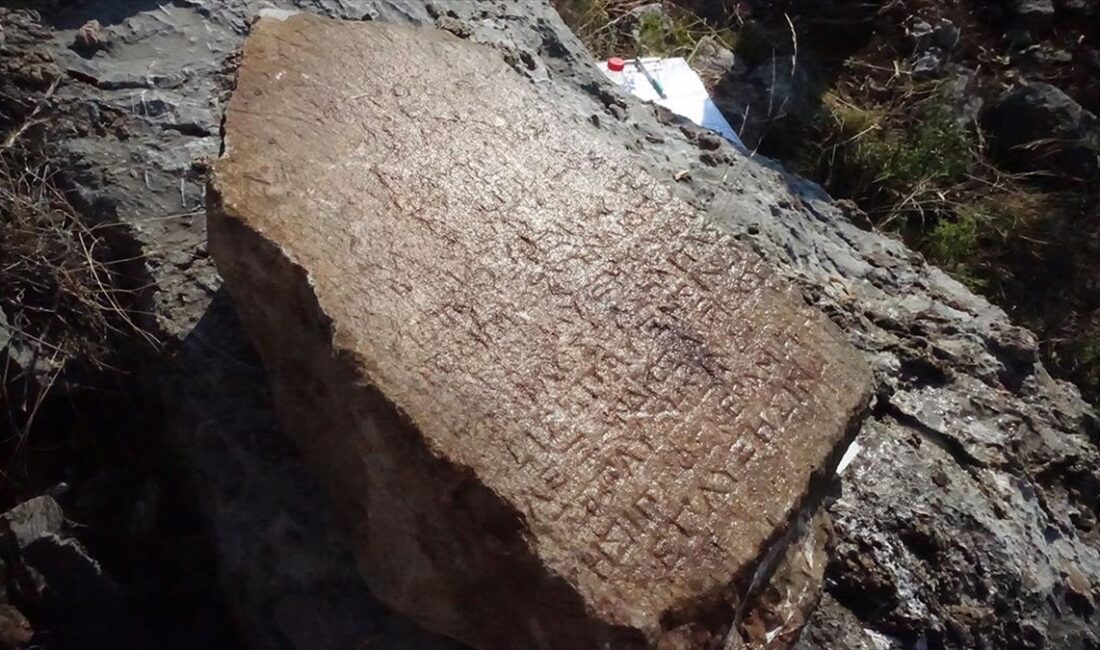 Çanakkale Onsekiz Mart Üniversitesi Öğretim Üyesi Arkeolojik Yüzey Araştırması Başkanı
