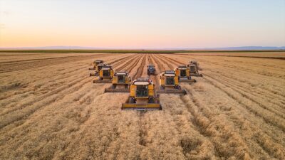 Toprak Mahsulleri Ofisi Genel Müdürü Ahmet Güldal, "15 Ekim'e kadar