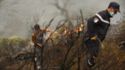 CEZAYIR (AA) – Cezayir Sivil Savunma Genel M&uuml;d&uuml;rl&uuml;ğ&uuml;, konuya ilişkin