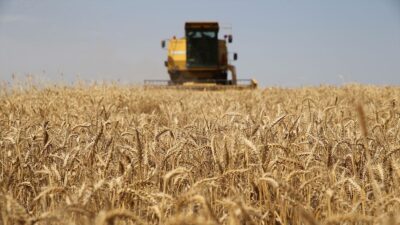 Tarım ve Orman Bakanlığı, 119 milyon 106 bin liralık destekleme