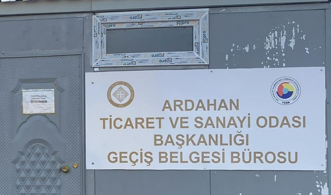 Gürcistan sınırında bulunan Ardahan'daki Çıldır-Aktaş Gümrük Kapısı'nı kullanan sürücüler, geçiş