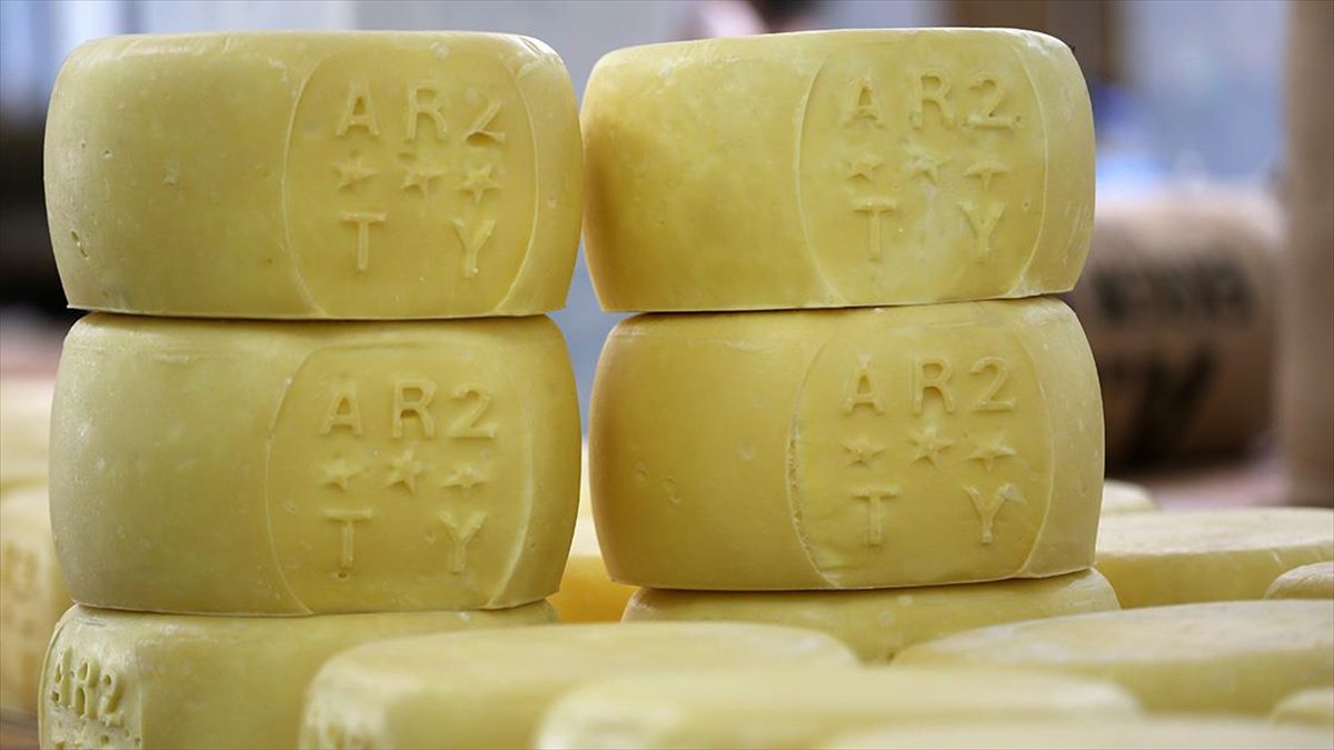 Türk Patent ve Marka Kurumu tarafından geçen yıl coğrafi işaret