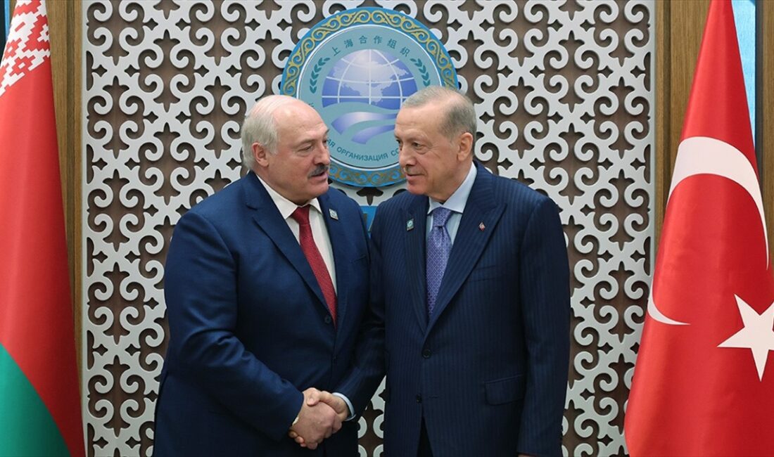 Cumhurbaşkanı Recep Tayyip Erdoğan, Belarus Cumhurbaşkanı Aleksandr Lukaşenko ile görüştü.