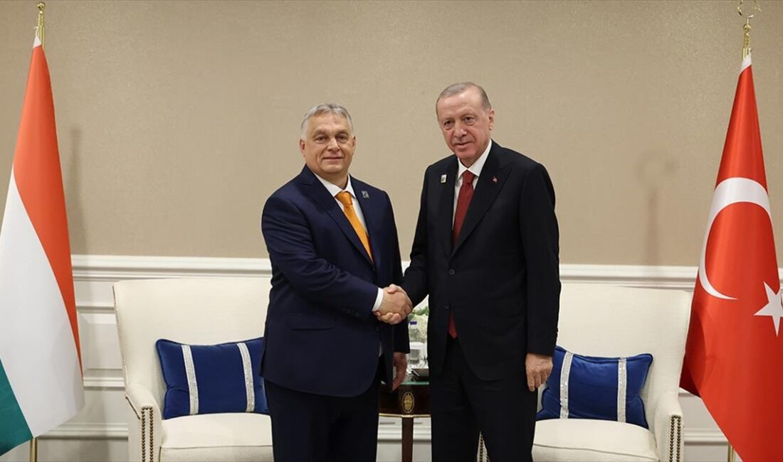 Cumhurbaşkanı Recep Tayyip Erdoğan, Macaristan Başbakanı Viktor Orban ile görüştü.