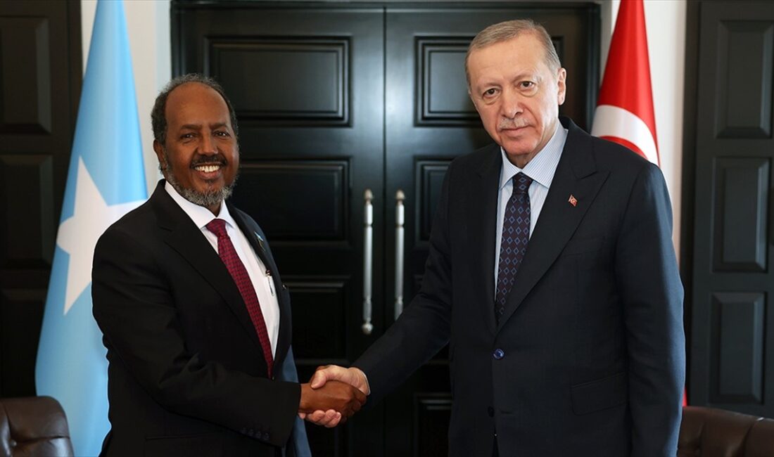 Cumhurbaşkanı Recep Tayyip Erdoğan, Somali Cumhurbaşkanı Hasan Şeyh Mahmud ile