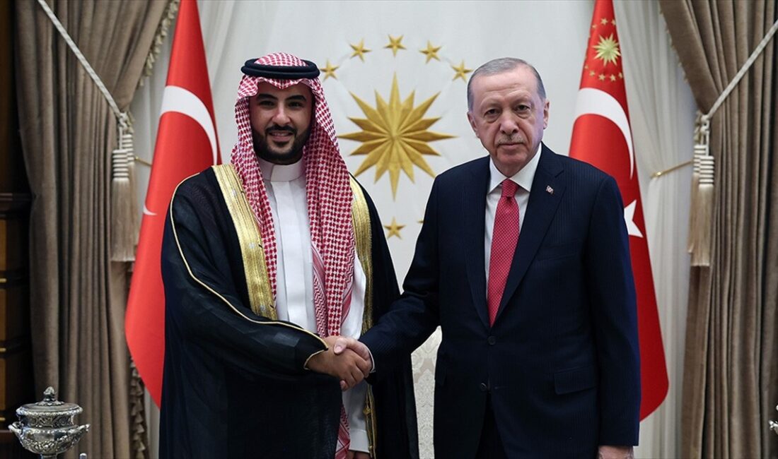 Cumhurbaşkanı Recep Tayyip Erdoğan, Suudi Arabistan Savunma Bakanı Halid bin