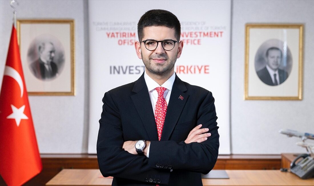 Cumhurbaşkanlığı Yatırım Ofisi Başkanı Dağlıoğlu, "(Türkiye UDY Stratejisi) Ülkemizi dünyanın