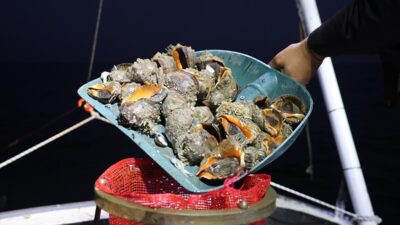 TRABZON (AA) – AA muhabirinin Doğu Karadeniz İhracat&ccedil;ılar Birliği (DKİB)