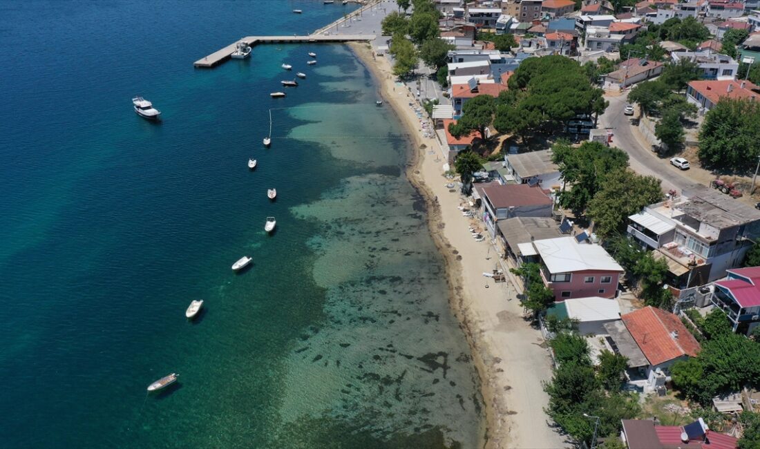 Balıkesir'in Erdek ilçesinde kepçe kiralayarak evlerinin önündeki plajın kıyı kesiminde