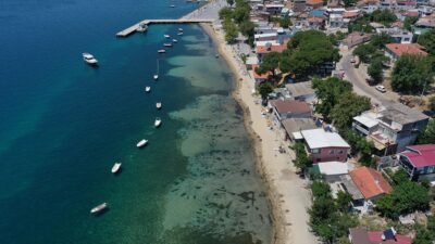 Balıkesir'in Erdek ilçesinde kepçe kiralayarak evlerinin önündeki plajın kıyı kesiminde