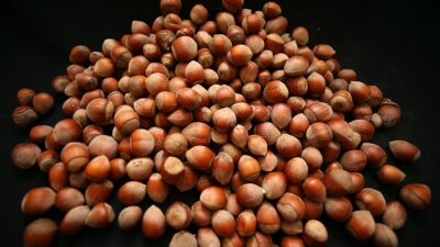 Trabzon, Rize, Artvin ve Gümüşhane'den 2024'ün ocak-haziran döneminde yapılan ihracat