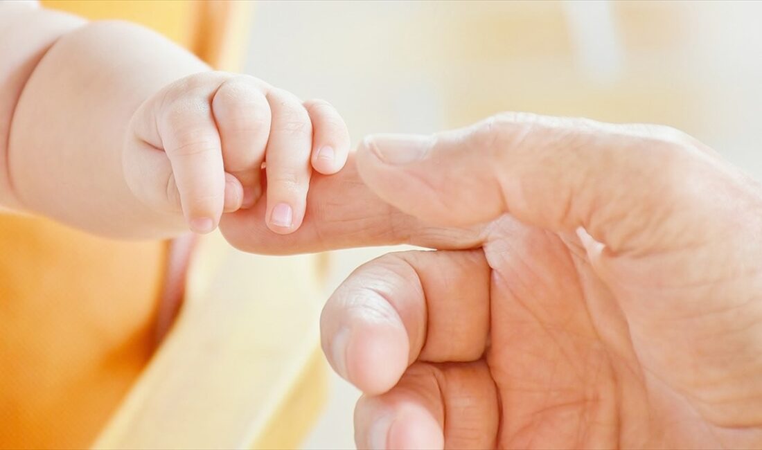 Uzmanlar, Türkiye'nin doğurganlık hızının Avrupa Birliği (AB) üyesi ülkelerin ve