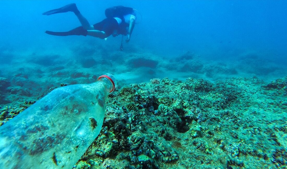 Dünya Doğayı Koruma Vakfının (WWF) raporuna göre zehirli metaller, kimyasallar