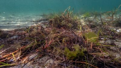 Balıkesir'in Erdek ilçesinde 7 ev sahibi tarafından plajın kıyı kesiminde