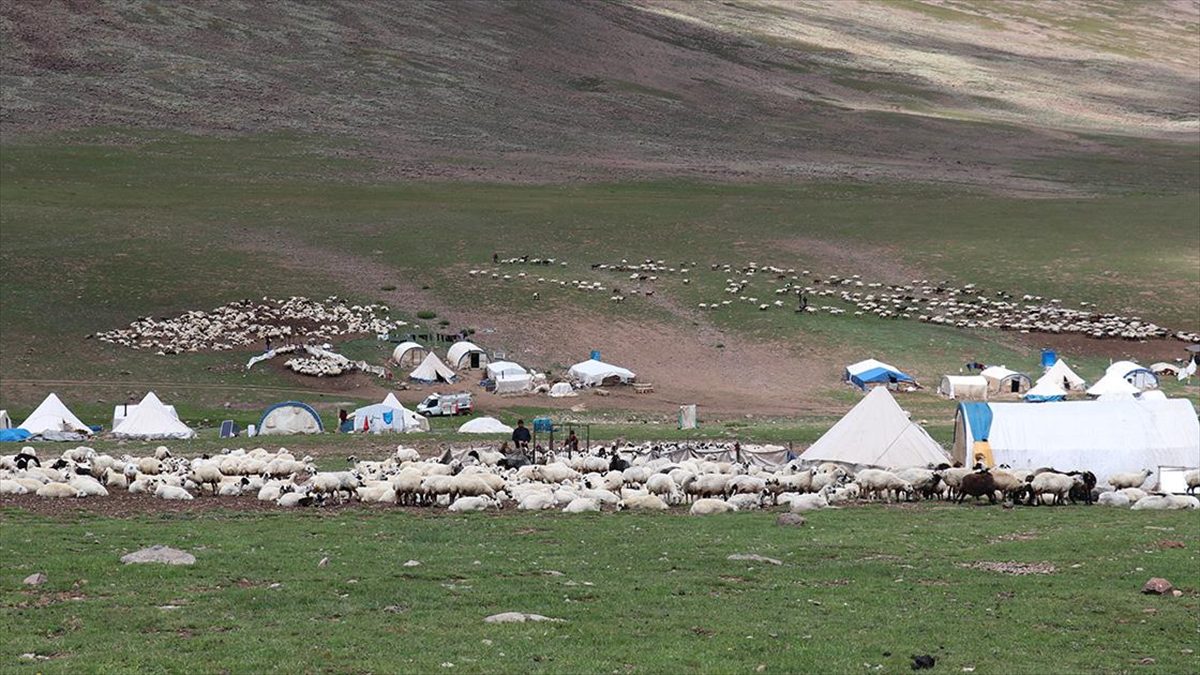 Erzurum'un 2 bin 600 rakımındaki Dumlubaba Yaylası'nda konaklayan göçerlerin günlük