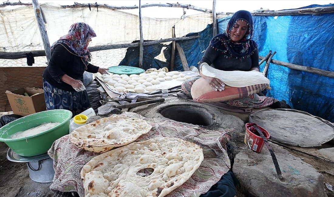 Muş'ta Kurtik Dağı eteğinde zengin bitki örtüsü ve temiz su