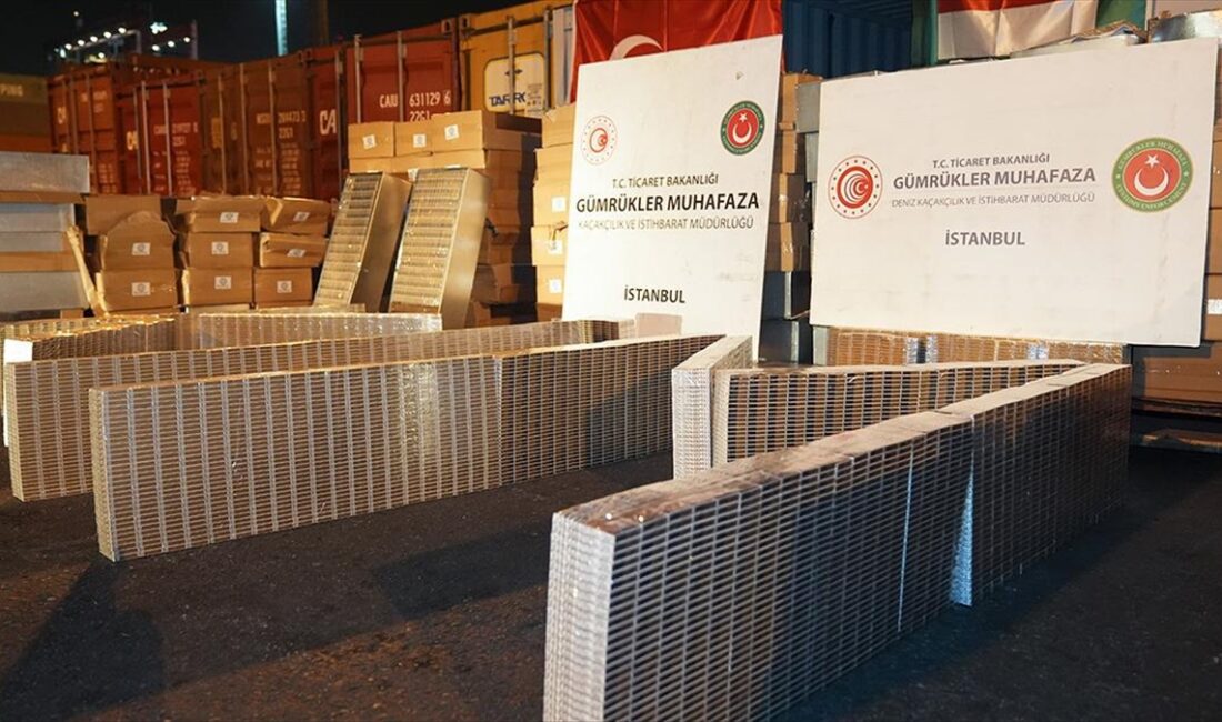 Ticaret Bakanlığı Gümrük Muhafaza ekiplerince İstanbul Ambarlı Limanı'nda 230 bin