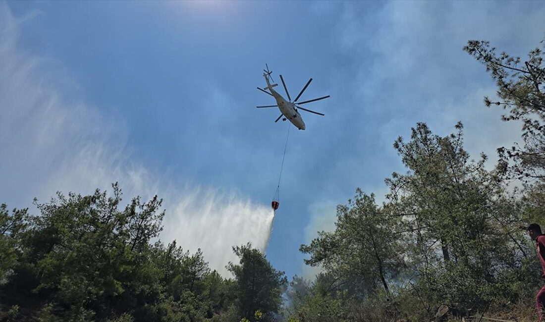 Hatay'ın Hassa ilçesinde ormanlık alanda çıkan yangına, havadan ve karadan