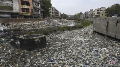 Hindistan'da bir çocuk, "beyin yiyen amip" olarak bilinen Naegleria fowlerinin