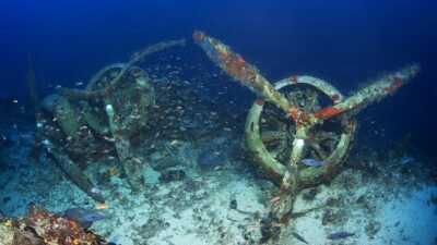 Su altı belgesel yapımcısı ve görüntü yönetmeni Tahsin Ceylan, 2.