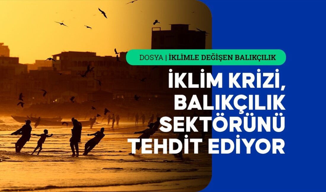 İklim kriziyle birlikte deniz suyunda meydana gelen sıcaklık artışı balıkların