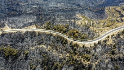 İstanbul Üniversitesi-Cerrahpaşa Orman Fakültesi Orman Mühendisliği Toprak İlmi ve Ekoloji