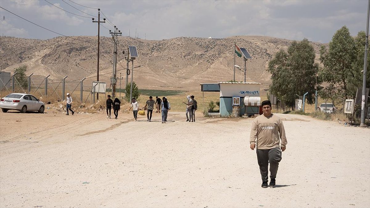 Şarya Kampı'nda kalan Sincarlı Yezidi Celal Casım, "Sincar'daki silahlı unsurlar