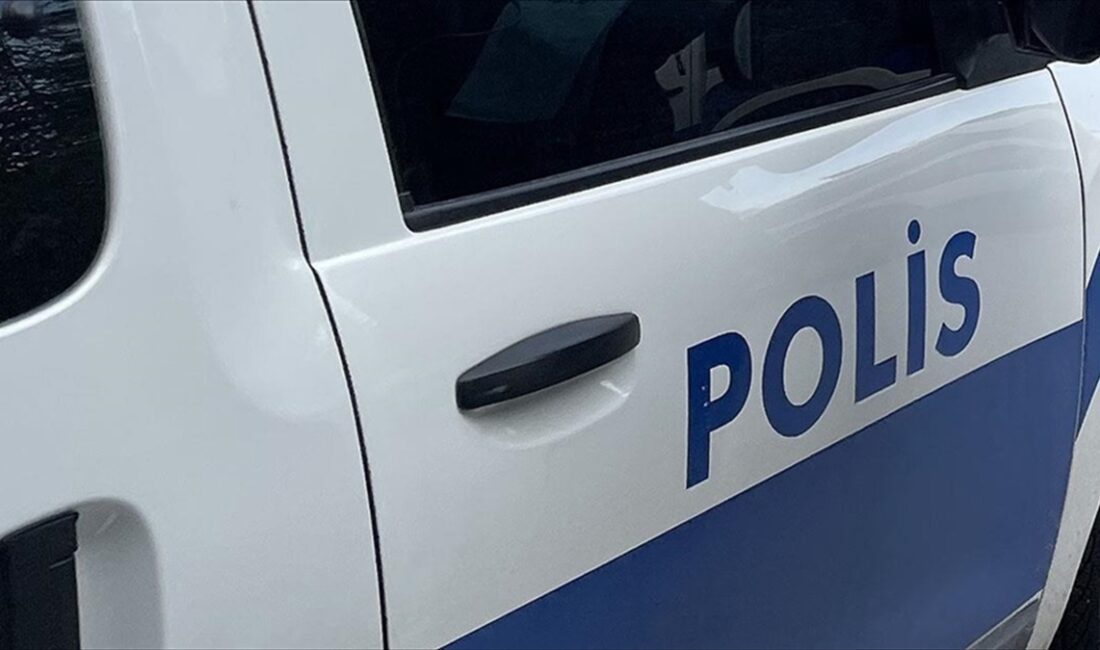 İstanbul'da birbirlerine yönelik saldırı düzenledikleri belirlenen iki organize suç örgütüne
