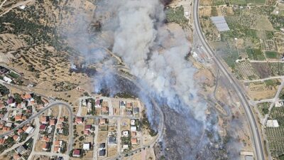 İZMİR (AA) – G&ouml;ktepe Mahallesi’ndeki makilik ve otluk alanda hen&uuml;z