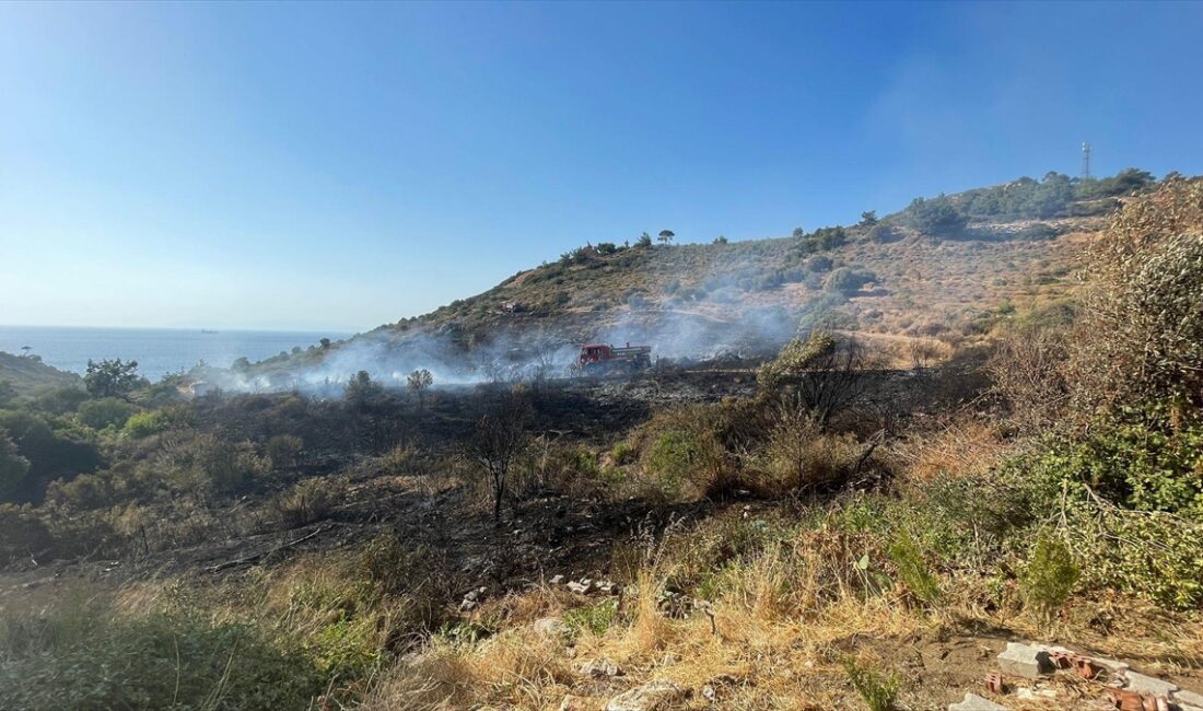 İzmir'in Foça ilçesinde, alev alan otomobilden çıkan kıvılcımların makilik alana