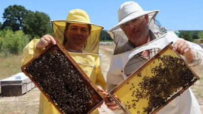 İzmirli Mehmet ve Nazan Bölükoğlu çifti, kaliteli bal elde etmek