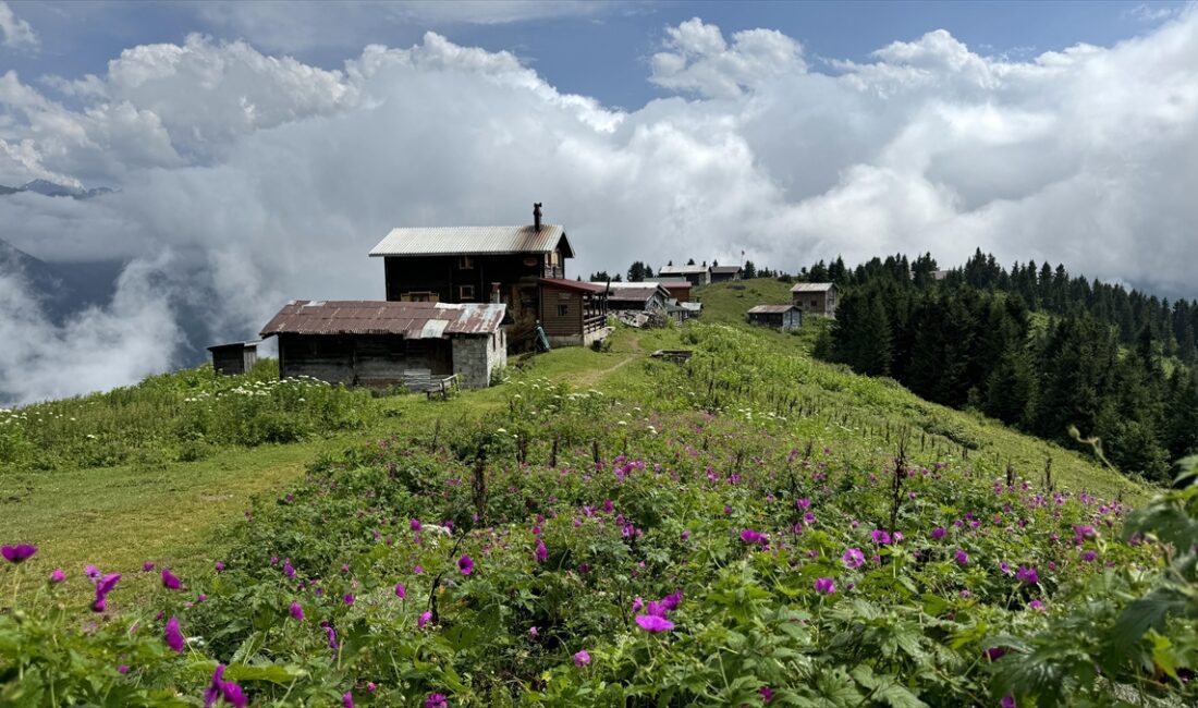 Türkiye'nin önemli doğa turizmi merkezlerinden Rize'nin Çamlıhemşin ilçesi sınırlarında yer