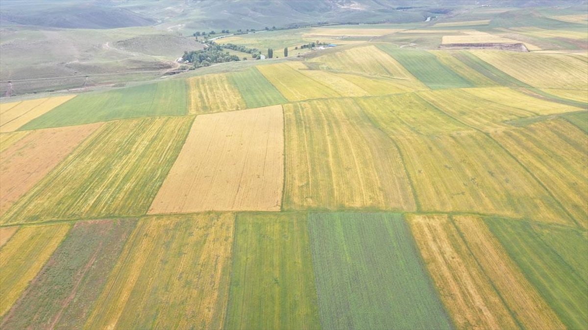 Kars'ta nadasa bırakılan, daha önce kullanılmayan atıl durumdaki tüm arazilerin